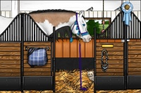 Horse Color:Bay Roan Splash 