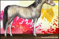 Horse Color:Liver Red Dun Ice Onyx Sabino Tobiano 
