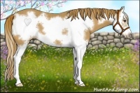 Horse Color:Chestnut Splash Frame
