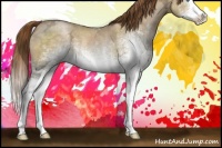 Horse Color:White Spotted Buckskin Ice Pearl Sabino Splash 