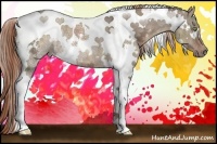 Horse Color:White Spotted Liver Red Dun Ice Tobiano