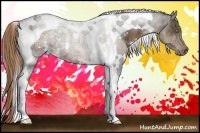 Horse Color:White Spotted Liver Chestnut Ice Tobiano