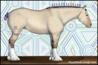 Horse Color:Amber Champagne Dun 
