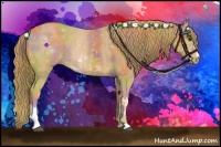 Horse Color:Chestnut Sabino  and Nacre Chestnut Sabino 