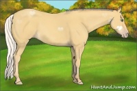 Horse Color:Silver Classic Cream Champagne 