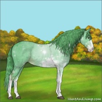 Horse Color:Watercolor Liver Chestnut Sabino