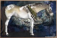 Horse Color:White Spotted Smoky Blue Onyx Tobiano Brindle
