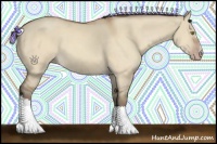 Horse Color:Amber Champagne Dun 