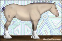 Horse Color:Amber Champagne Dun