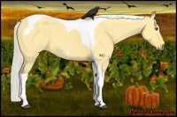 Horse Color:Silver Buckskin Dun Tobiano 