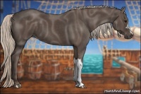 Horse Color:Silver Black 