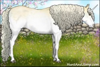 Horse Color:White Spotted Palomino Dun