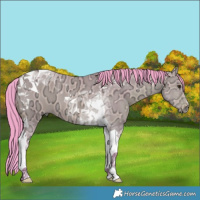 Horse Color:Watercolor Bay Ice Dun Tobiano