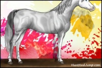 Horse Color:Black Frame