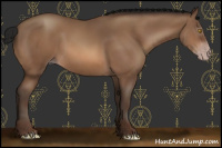 Horse Color:Gray Amber Champagne 