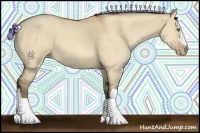 Horse Color:Amber Champagne Dun 