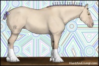 Horse Color:Gold Champagne Dun 