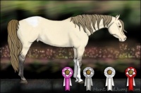 Horse Color:Buckskin Dun Appaloosa 