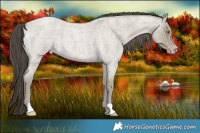 Horse Color:Classic Cream Champagne Roan 