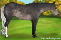 Horse Color:Gray Silver Black Chinchilla