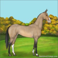 Horse Color:Bay Roan Dun Splash 