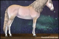 Horse Color:Watercolor Palomino Onyx Sabino