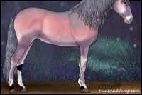 Horse Color:Watercolor Blue Onyx Sabino 