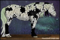 Horse Color:Watercolor White Spotted Palomino Ice Onyx 