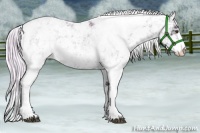 Horse Color:Watercolor Palomino Ice Onyx Sabino