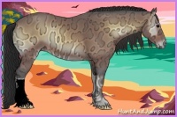 Horse Color:Bay Ice Onyx 