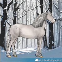 Horse Color:Platinum Chocolate Palomino Pearl