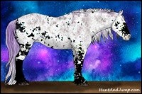 Horse Color:Watercolor Buckskin Ice Onyx Sabino 