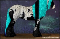 Horse Color:White Spotted Palomino Ice Onyx Splash 