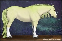 Horse Color:Watercolor Palomino Dun