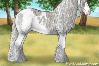 Horse Color:Watercolor White Spotted Palomino Ice Pearl Onyx Splash 