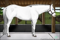 Horse Color:Black Frame 