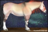 Horse Color:Bay Onyx 