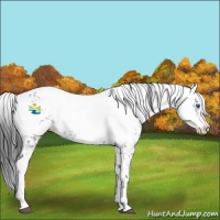 Horse Color:Black Frame 