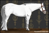 Horse Color:Black Frame Near Leopard 