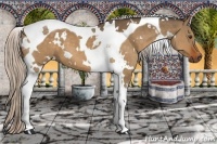 Horse Color:White Spotted Silver Brown Dun Tobiano 