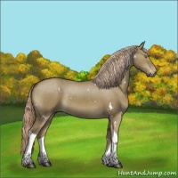 Horse Color:White Spotted Chocolate Palomino Dun Tobiano