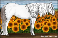 Horse Color:Gray Bay Near Leopard 