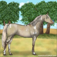 Horse Color:White Spotted Liver Red Dun Mushroom Sabino Rabicano