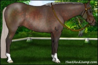 Horse Color:Silver Brown Rabicano