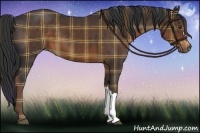Horse Color:Plaid  Liver Chestnut 