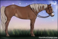 Horse Color:Chocolate Silver Brown 