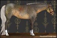 Horse Color:Silver Smoky Black 