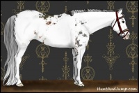 Horse Color:Brown Sabino 