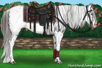Horse Color:Liver Chestnut Frame 