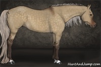 Horse Color:Silver Brown Dun